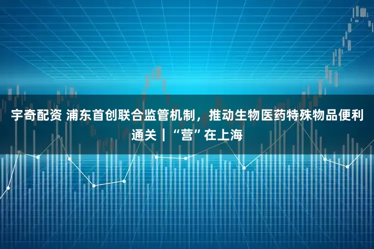 宇奇配资 浦东首创联合监管机制，推动生物医药特殊物品便利通关｜“营”在上海