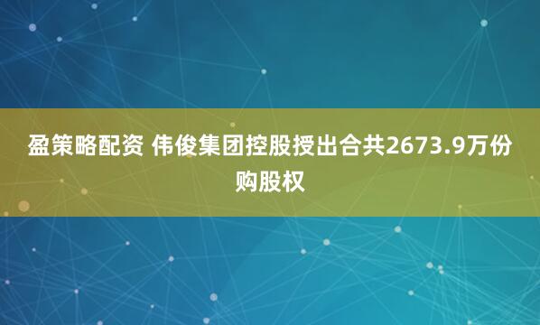 盈策略配资 伟俊集团控股授出合共2673.9万份购股权